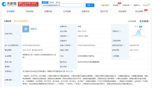 阿里新設(shè)智能服務(wù)公司，拓展大數(shù)據(jù)與信息技術(shù)咨詢業(yè)務(wù)